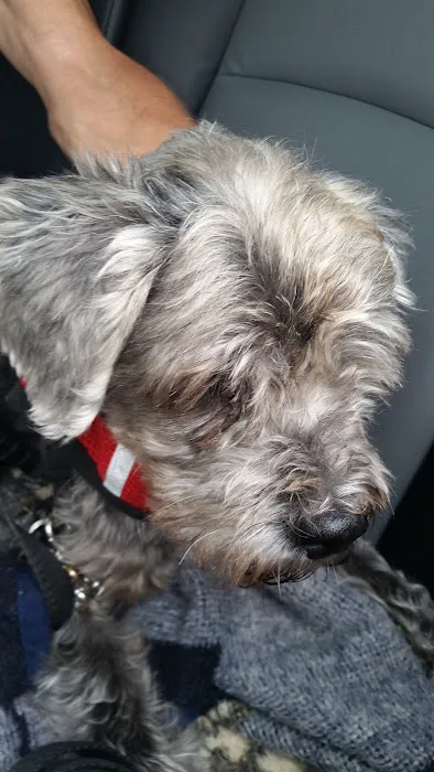 Augusta Animal Hospital Picture 4