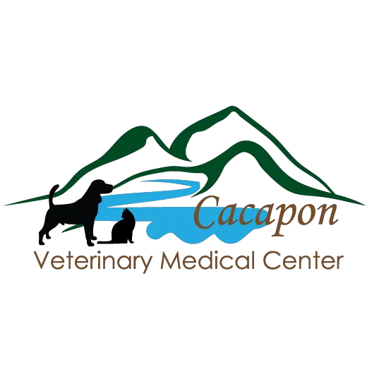 Cacapon Veterinary Medical Center Picture 1