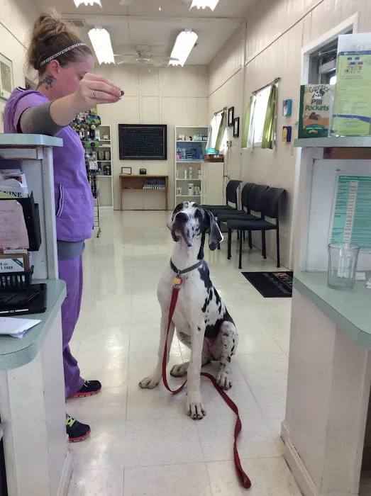 Cacapon Veterinary Medical Center Picture 2