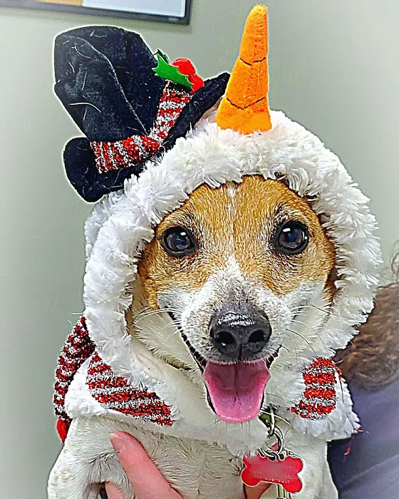 North Branch Animal Hospital Picture 10