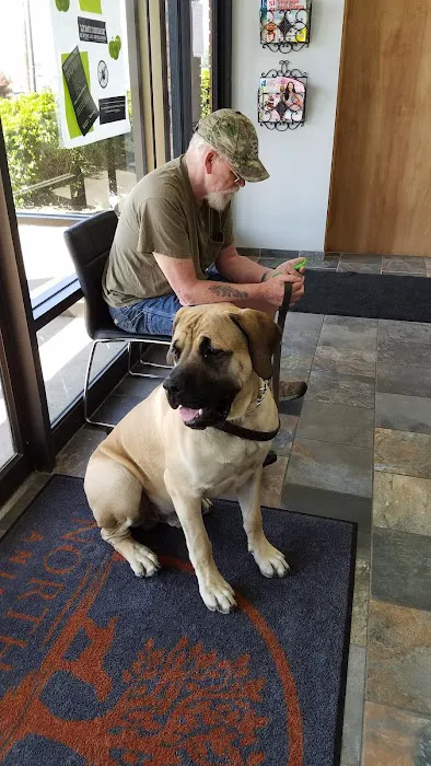 North Branch Animal Hospital Picture 2