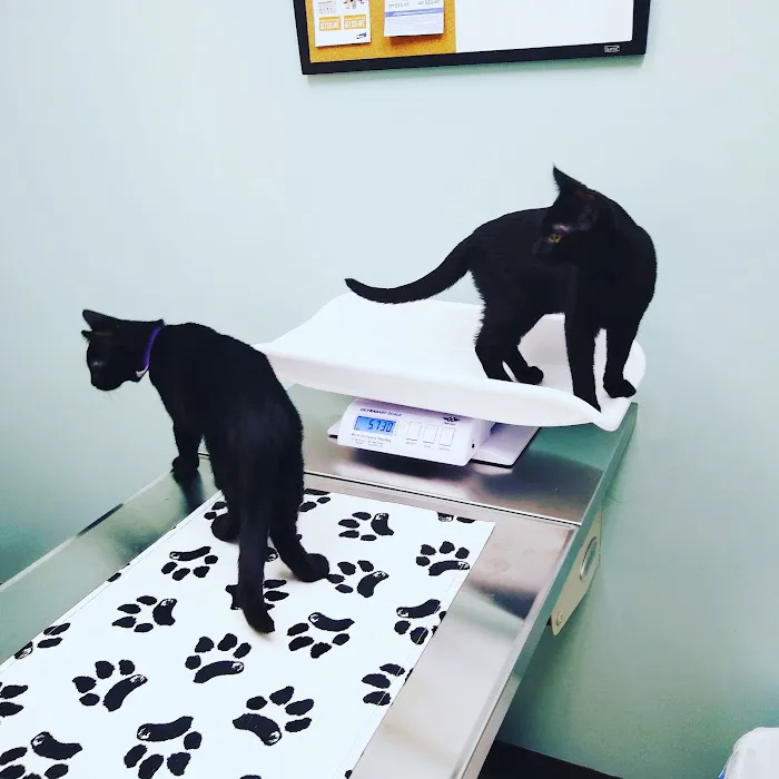 North Branch Animal Hospital Picture 9