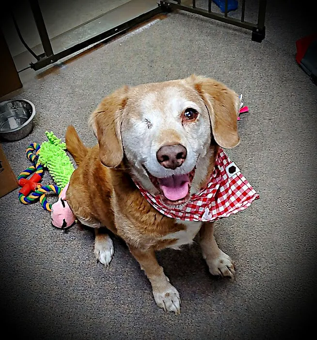 North Branch Animal Hospital Picture 8