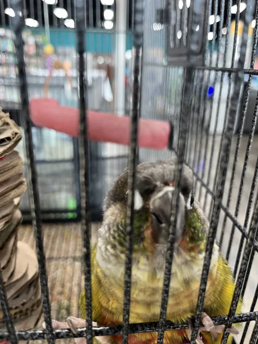 Pet Supermarket Picture 10