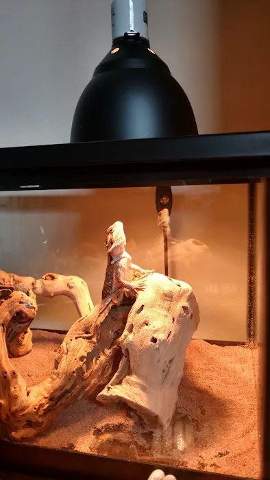 Pet Supermarket Picture 4