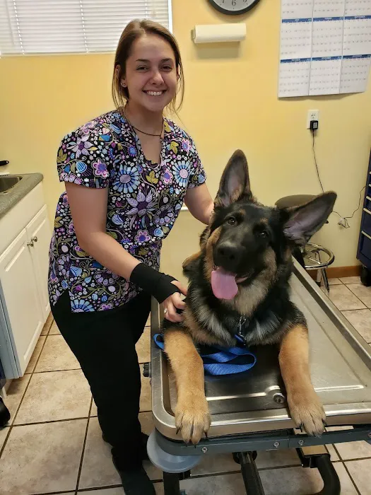 Wiley Ford Animal Clinic Picture 2