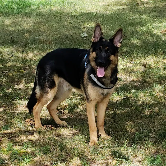 Wiley Ford Animal Clinic Picture 8