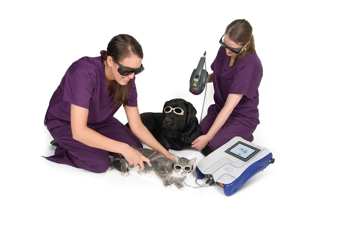 Wiley Ford Animal Clinic Picture 3
