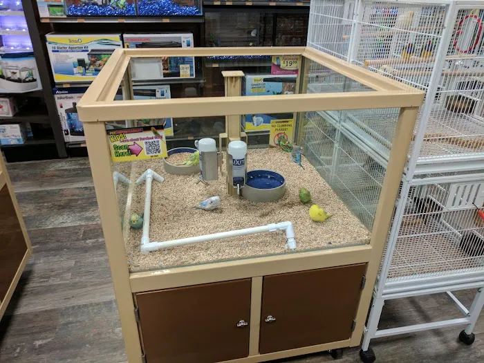 Pet Supermarket Picture 1