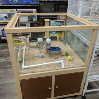 Pet Supermarket ico