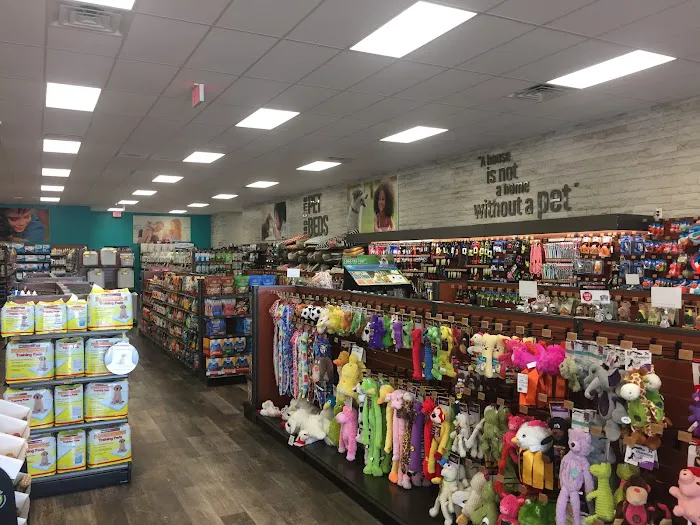 Pet Supermarket Picture 9