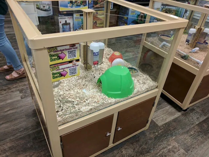 Pet Supermarket Picture 5