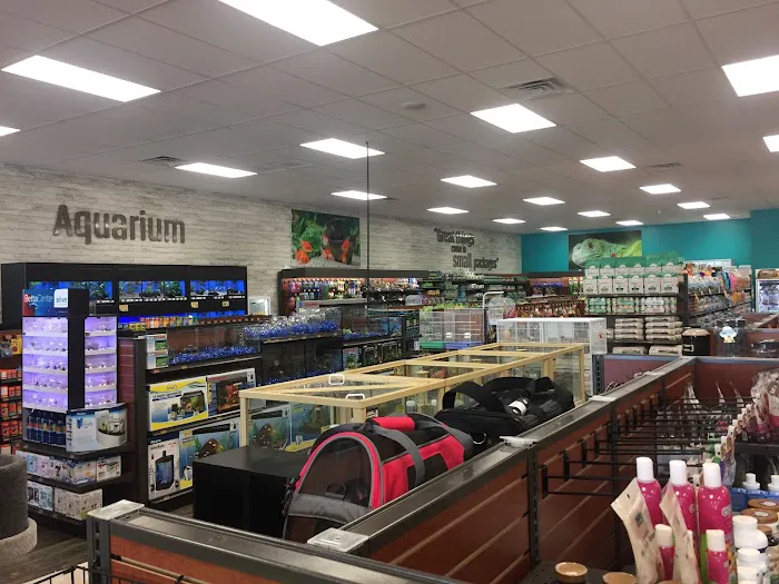 Pet Supermarket Picture 10