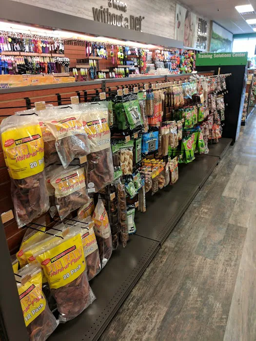 Pet Supermarket Picture 6