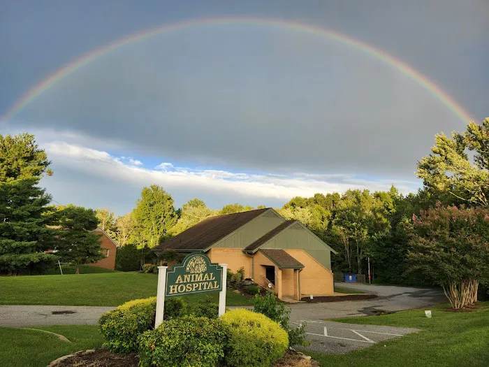 Spotsylvania Animal Hospital Picture 7