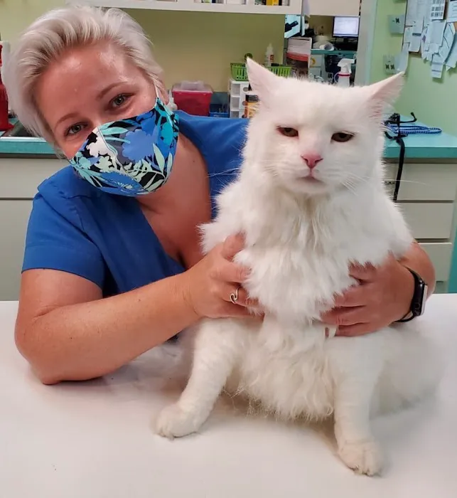 Spotsylvania Animal Hospital Picture 8