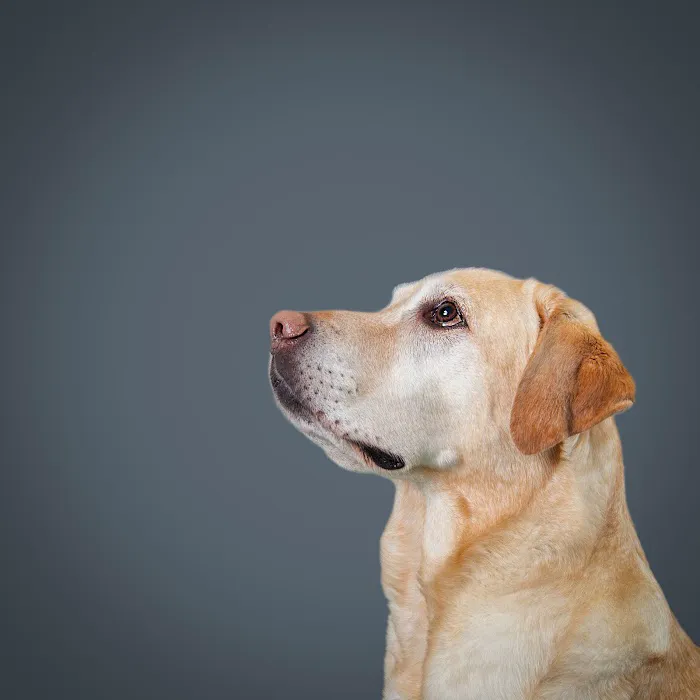 Spotsylvania Animal Hospital Picture 6