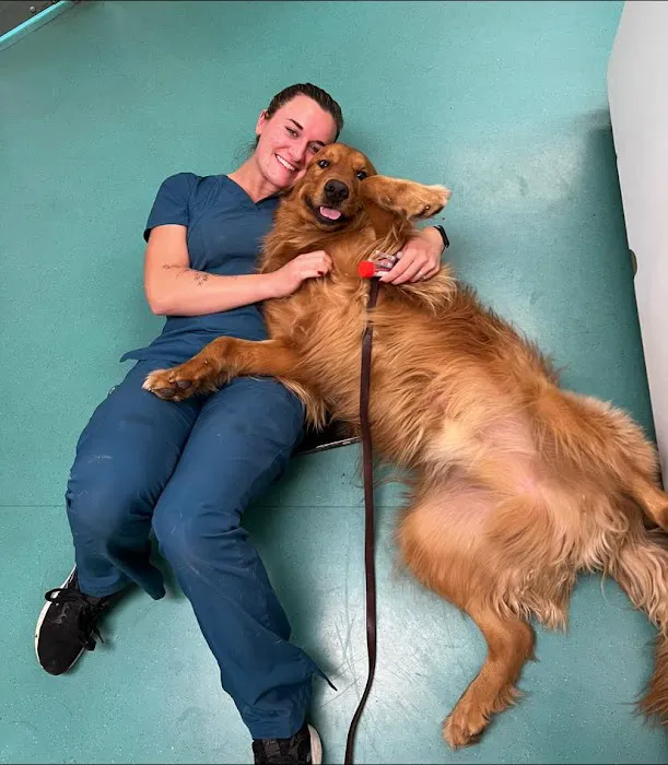 Spotsylvania Animal Hospital Picture 5