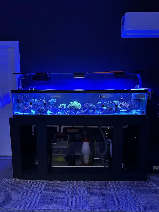 The Reef Vault Picture 1