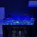 The Reef Vault