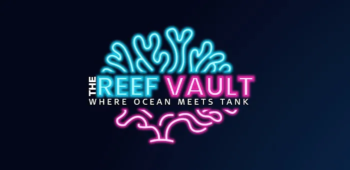 The Reef Vault Picture 7