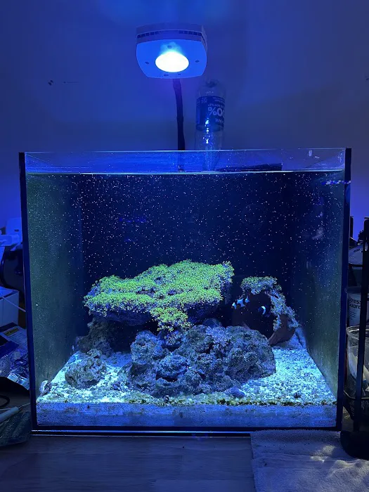 The Reef Vault Picture 4