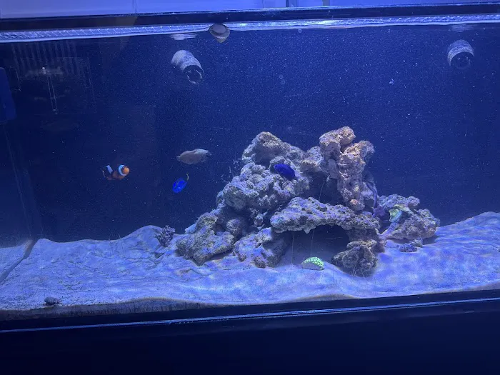 The Reef Vault Picture 2