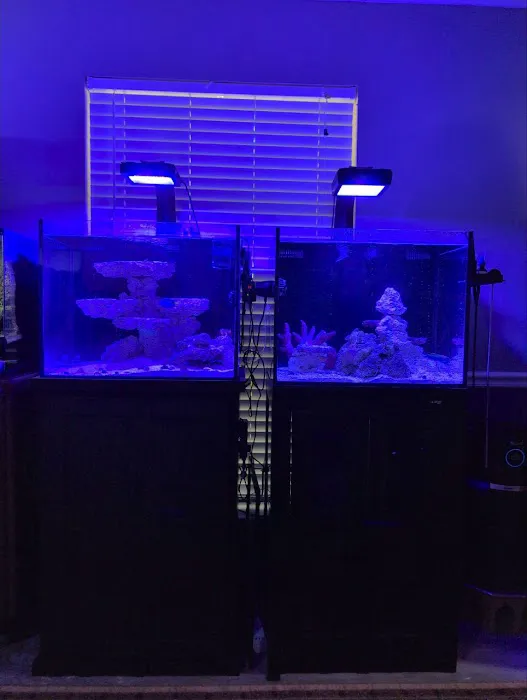 The Reef Vault Picture 5