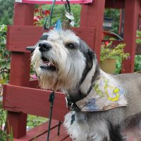 Spotsylvania Animal Hospital: Siefker Katherine J DVM ico