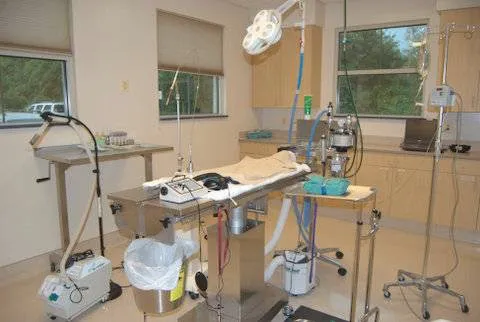 Four Paws Animal Hospital & Wellness Center Picture 4