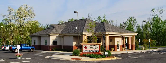 Four Paws Animal Hospital & Wellness Center Picture 1