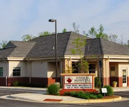 Four Paws Animal Hospital & Wellness Center