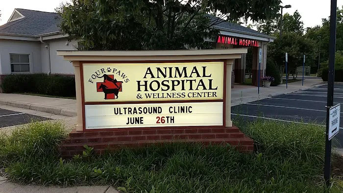 Four Paws Animal Hospital & Wellness Center Picture 3