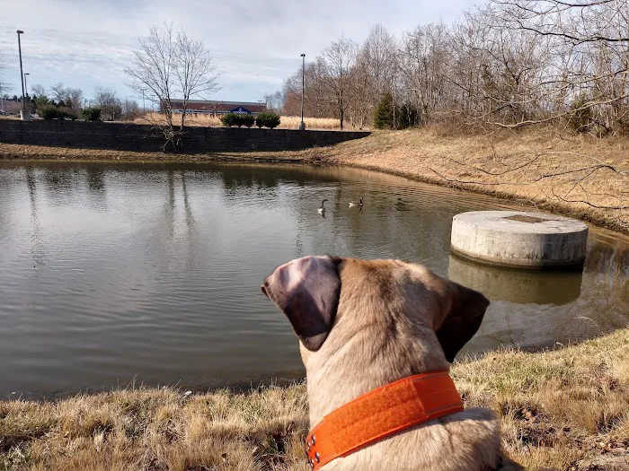 Four Paws Animal Hospital & Wellness Center Picture 10