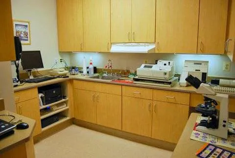 Four Paws Animal Hospital & Wellness Center Picture 6