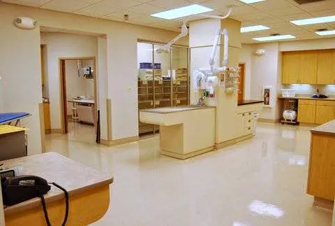 Four Paws Animal Hospital & Wellness Center Picture 5