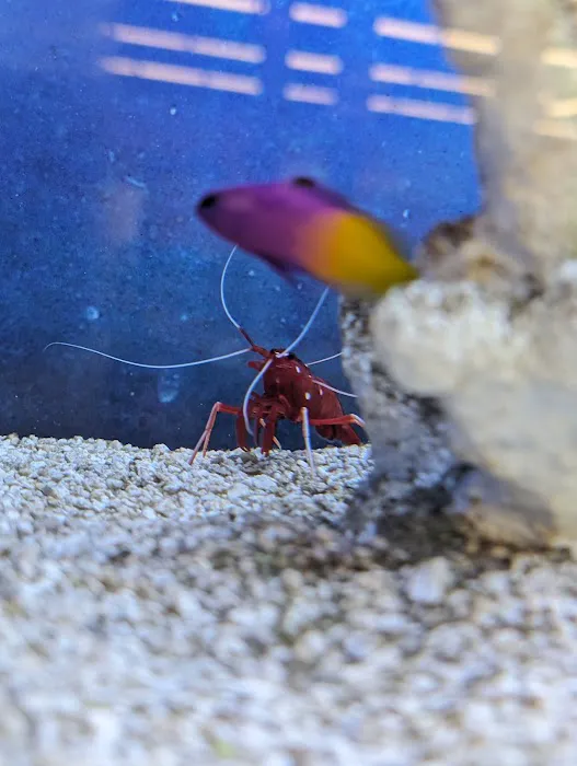 Petco Picture 3