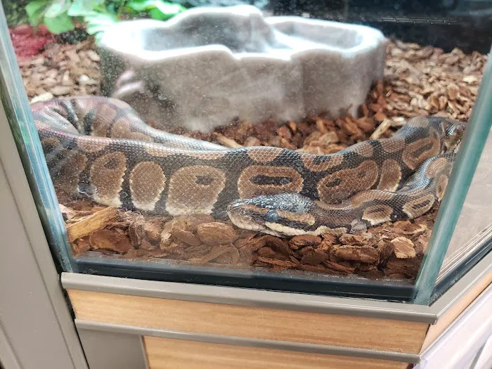 Petco Picture 9