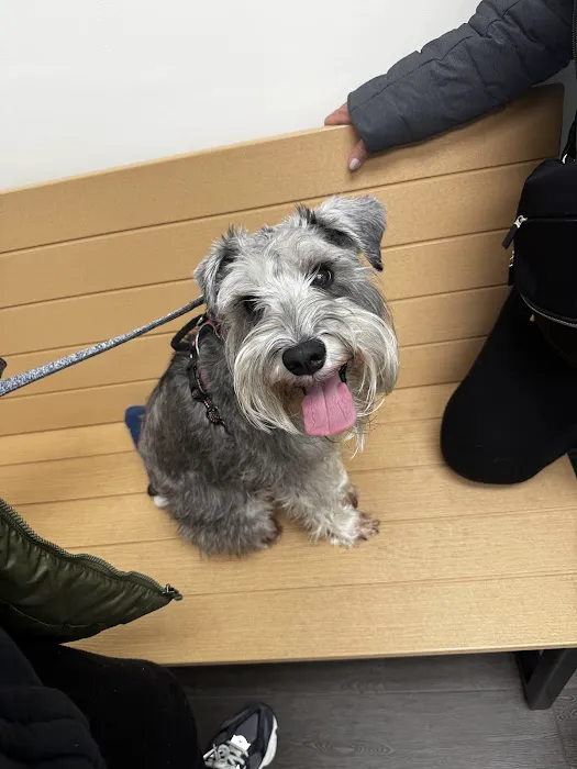 Banfield Pet Hospital Picture 1