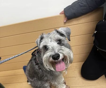 Banfield Pet Hospital