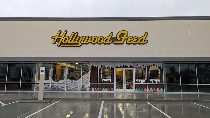 Hollywood Feed Picture 3