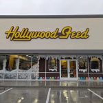 Hollywood Feed