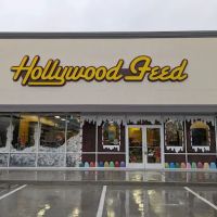 Hollywood Feed ico
