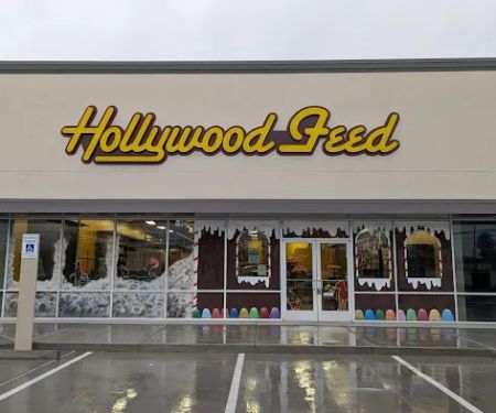 Hollywood Feed