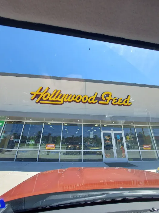 Hollywood Feed Picture 6