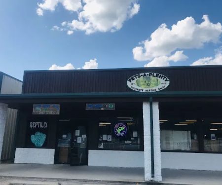 Pets-A-Plenty: The Ultimate Reptile Shop