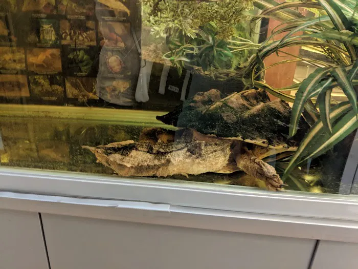 Pets-A-Plenty: The Ultimate Reptile Shop Picture 7