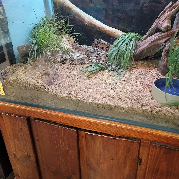 Pets-A-Plenty: The Ultimate Reptile Shop Picture 9