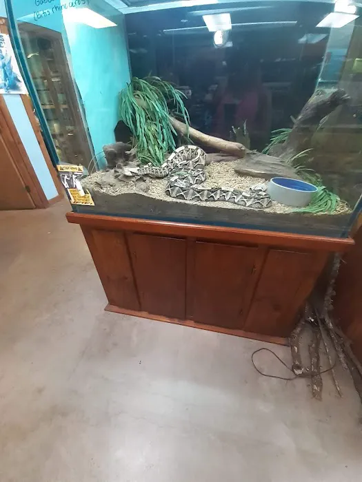 Pets-A-Plenty: The Ultimate Reptile Shop Picture 5
