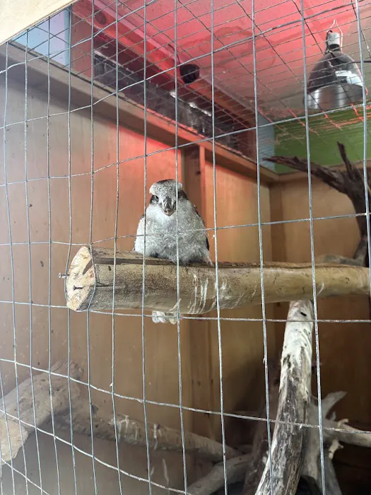 Pets-A-Plenty: The Ultimate Reptile Shop Picture 8